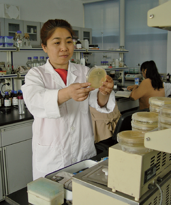 省勞動(dòng)模范柴一秋 25載潛心鉆研，鑄就“蟲(chóng)花”情緣